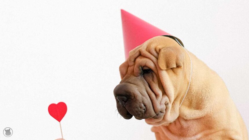 ¿Cuándo es verdadero el amor?
