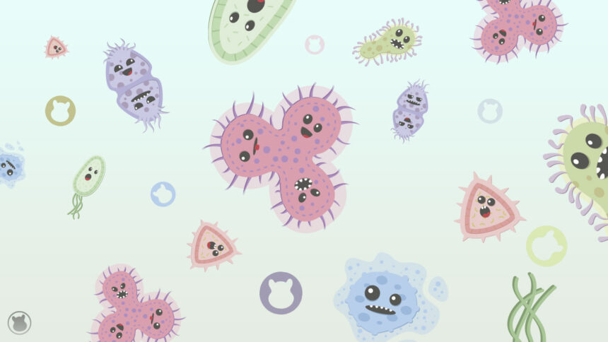 Prepara gel antibacterial y cuídate de las infecciones