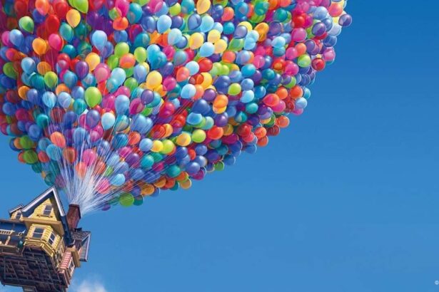 Up: Una aventura de altura