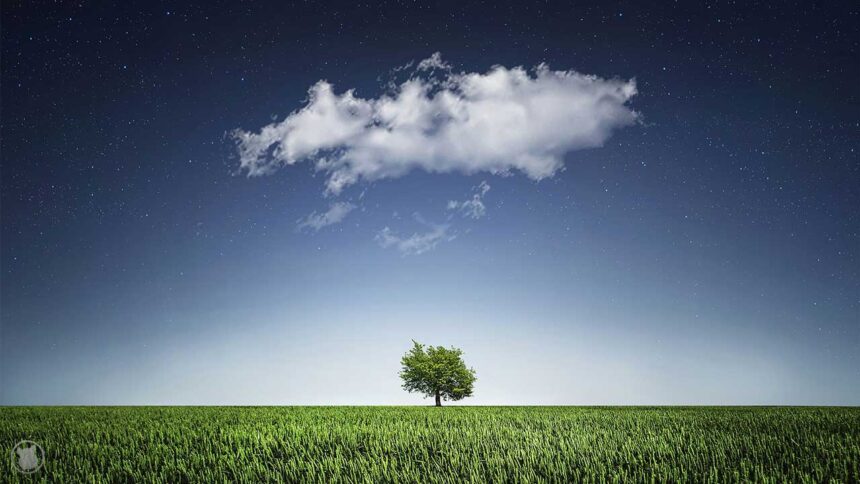 El Árbol de las Preguntas