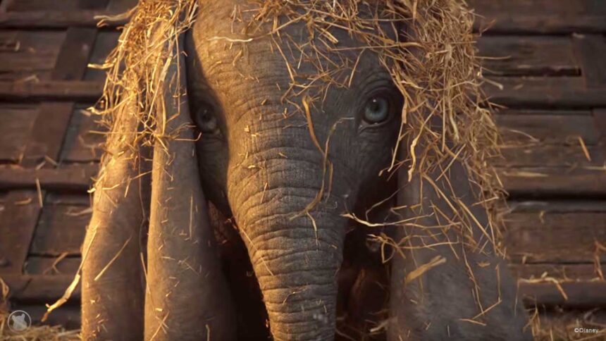 Dumbo live action
